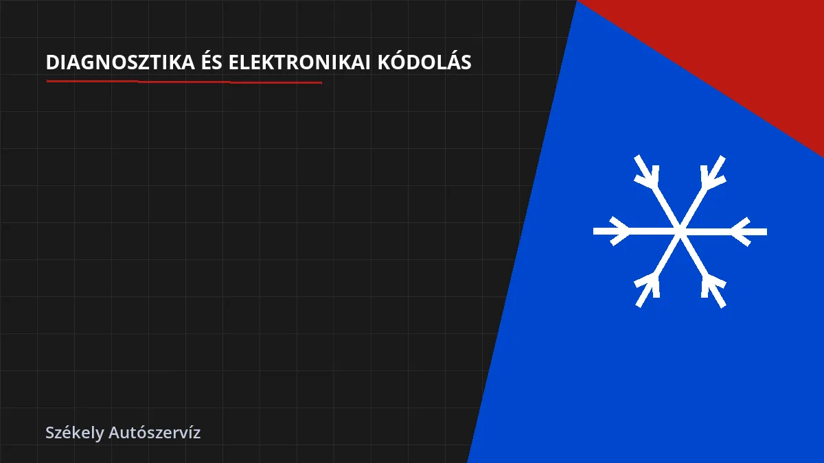 Akkumulátor degradáció (SOH) mérése OBD olvasóval villanyautó vásárlás előtt