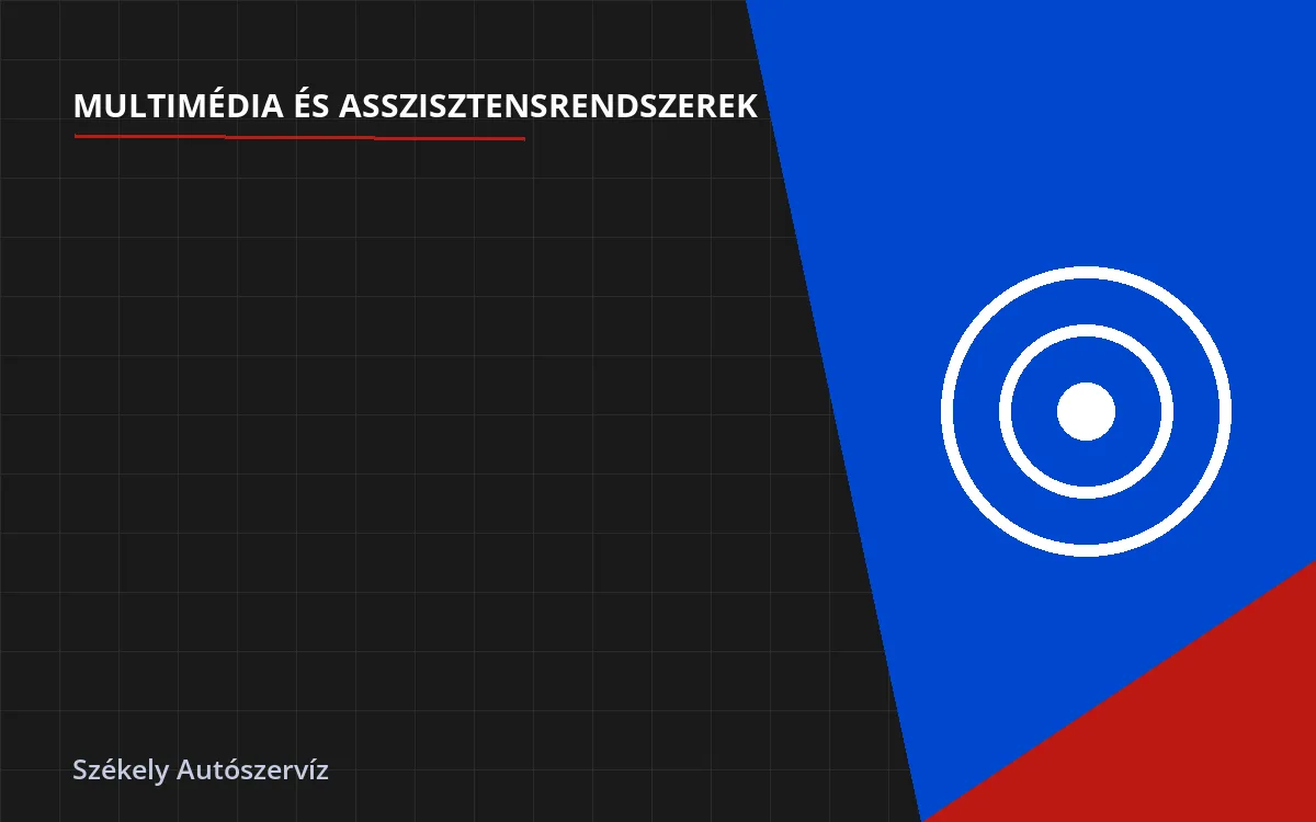 Éjjellátó rendszer javítás - multimédia és asszisztens beszerelés Budapesten